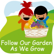 Our Garden