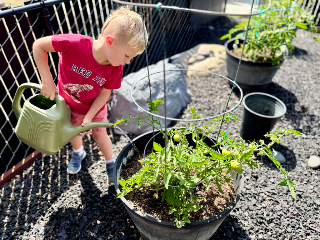 la-costa-valley-preschool-garden-activity.webp la costa preschool