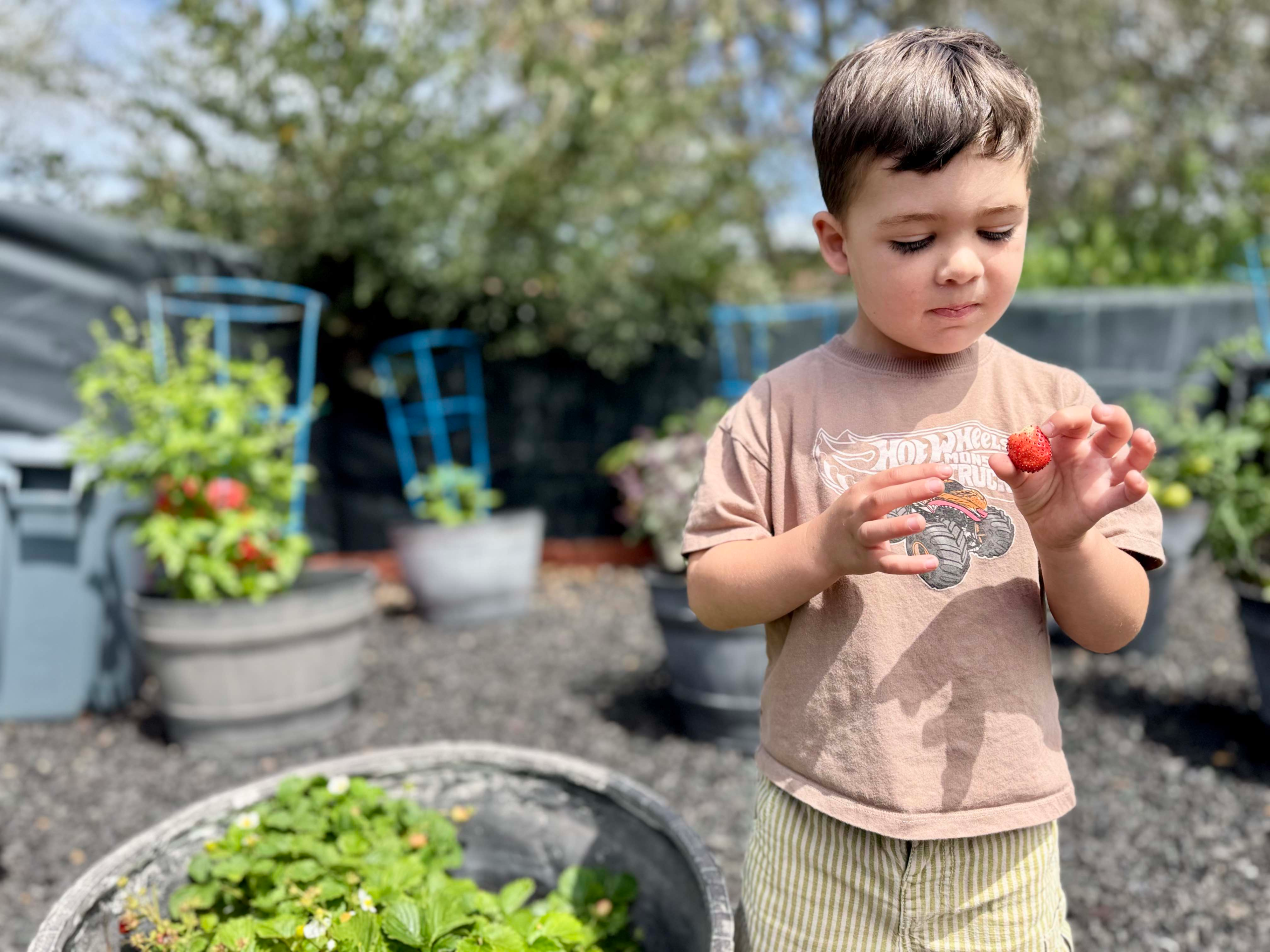 encinitas-preschool-garden.webp preschool student