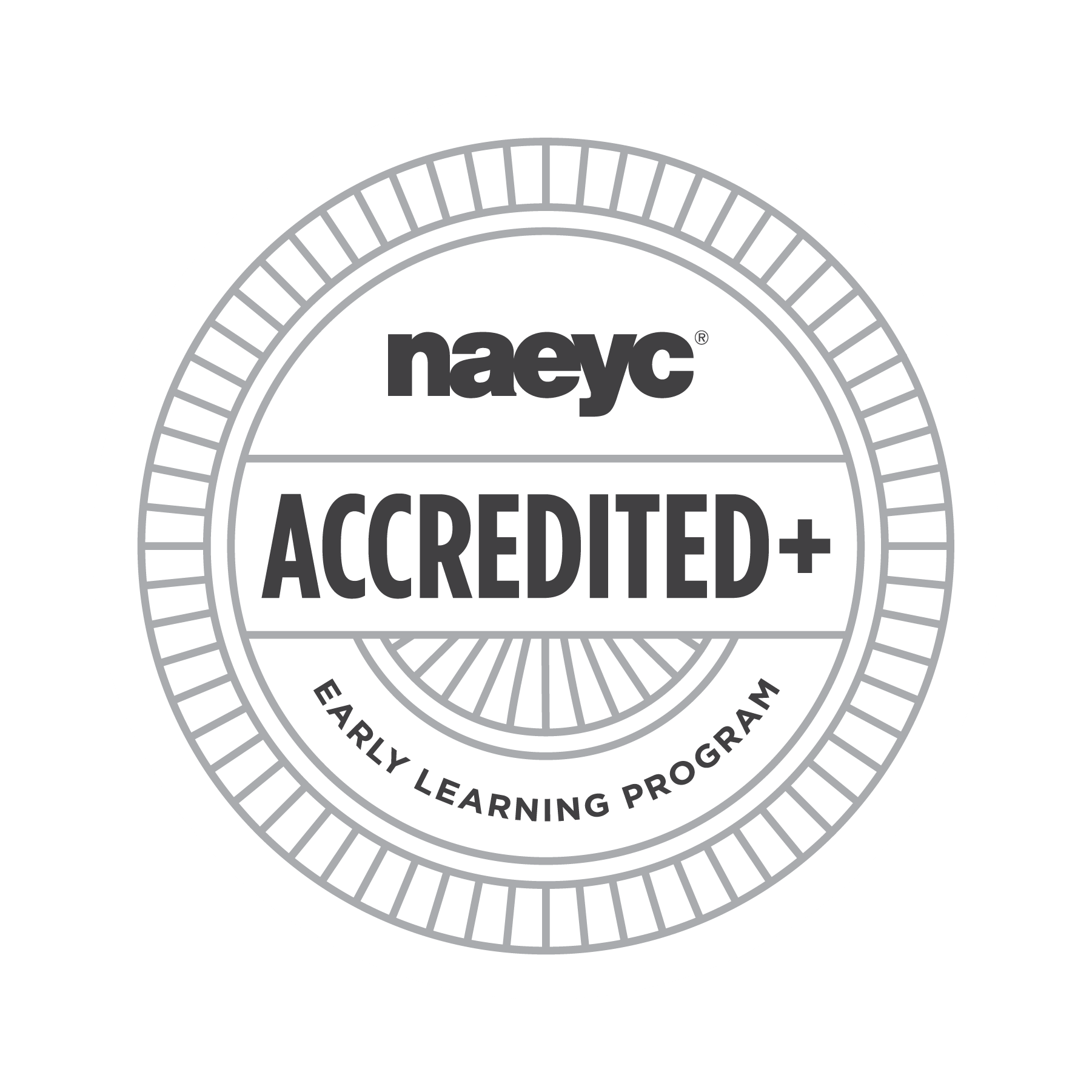 nayec accredited school , logo