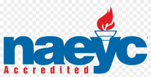 nayec accredited school , logo